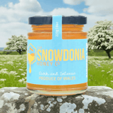 The Snowdonia Honey Co. - Spring Wildflower Honey | Free Delivery | Pure & Unfiltered