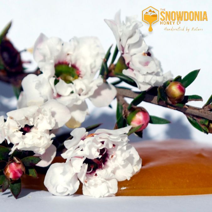 Why Is Manuka So Expensive?