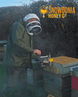 beekeeping tending to hives in late winter