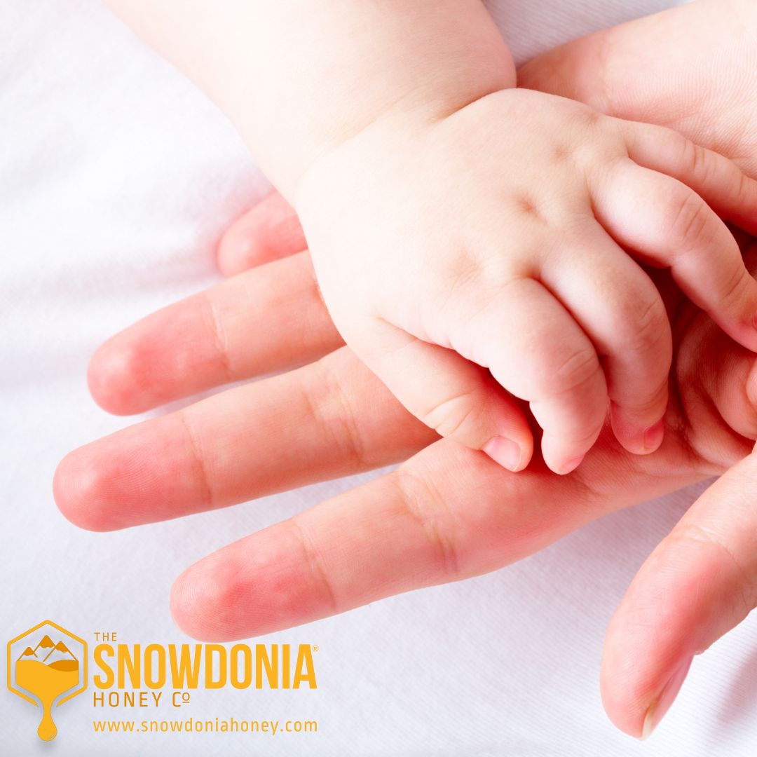 An adult hand holding a baby's hand with love on a white background and the logo of The Snowdonia Honey Co.