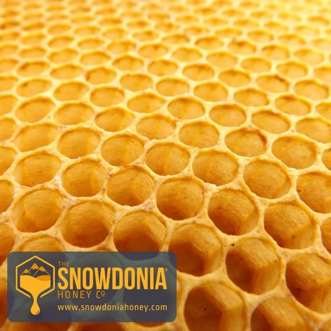 Honeycomb made by bees The Snowdonia Honey Co.