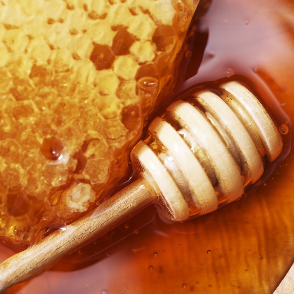 How Long Does It Take Bees to Make Honey? - The Snowdonia Honey Co.