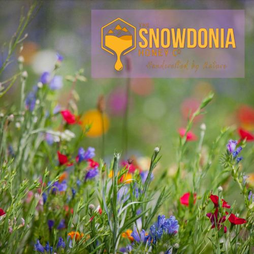 How Wildflower Honey is Made - The Snowdonia Honey Co.