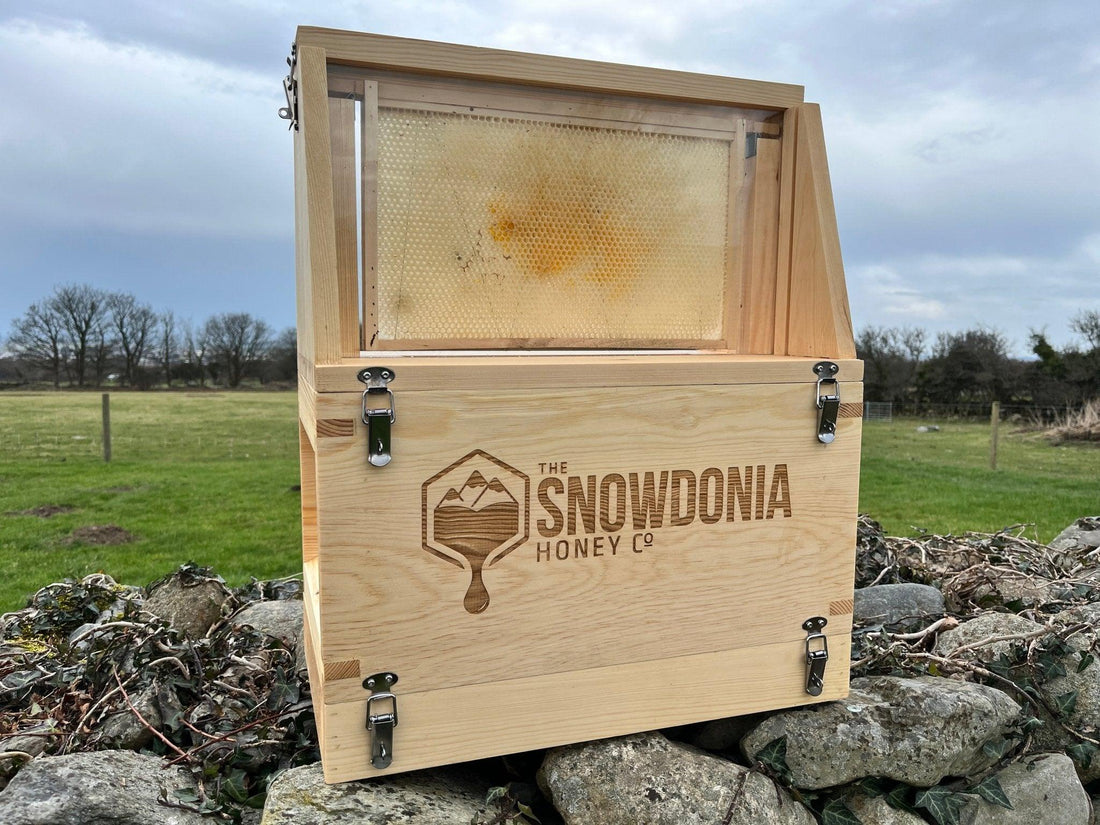 Setting Up a Bee Observation Hive: A Comprehensive Guide - The Snowdonia Honey Co.