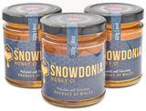 Snowdonia Wildflower Honey: Exploring Its Unique Characteristics - The Snowdonia Honey Co.