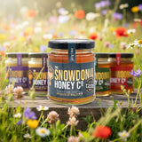 Best Sellers - The Snowdonia Honey Co.