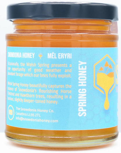 Snowdonia Spring Wildflower Welsh Honey 227g - The Snowdonia Honey Co.
