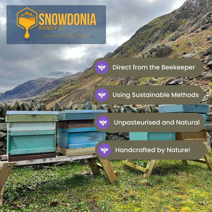 Snowdonia Welsh Wildflower Honey 227g | Great Taste Award Winner - The Snowdonia Honey Co.