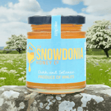 Snowdonia Spring Wildflower Honey - The Snowdonia Honey Co.