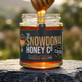 Snowdonia Welsh Wildflower Honey | Raw Welsh Honey - The Snowdonia Honey Co.