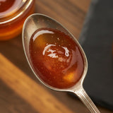 Snowdonia Welsh Wildflower Honey | Raw Welsh Honey - The Snowdonia Honey Co.